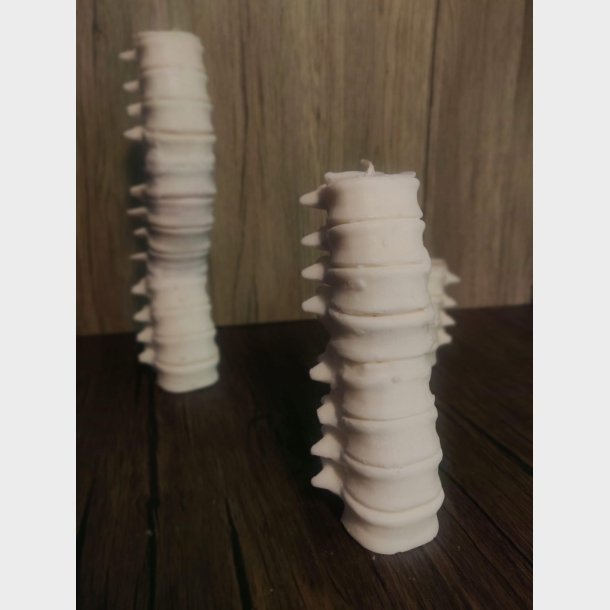 Medium Spine Candle - IVORY